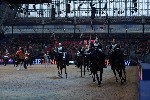 Cavalry - 00160